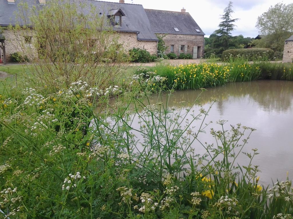 Saint-Lambert-la-Potherie Grand Mainguet Bed & Breakfast エクステリア 写真